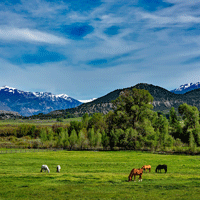 Reach For Montana Realty | Alan Habel | Horse Properties, Ranch and Land